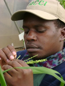 Kimani-Munji