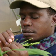 Dr. Kimani Munji